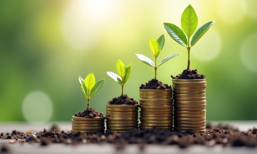 Blogs - Plant Coins